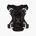 dog car harness back view