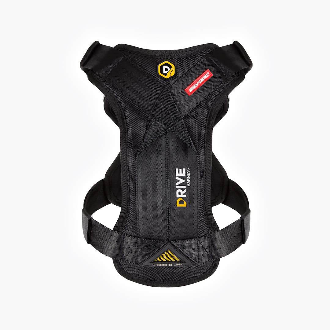 Drive™ Dog Car Harness