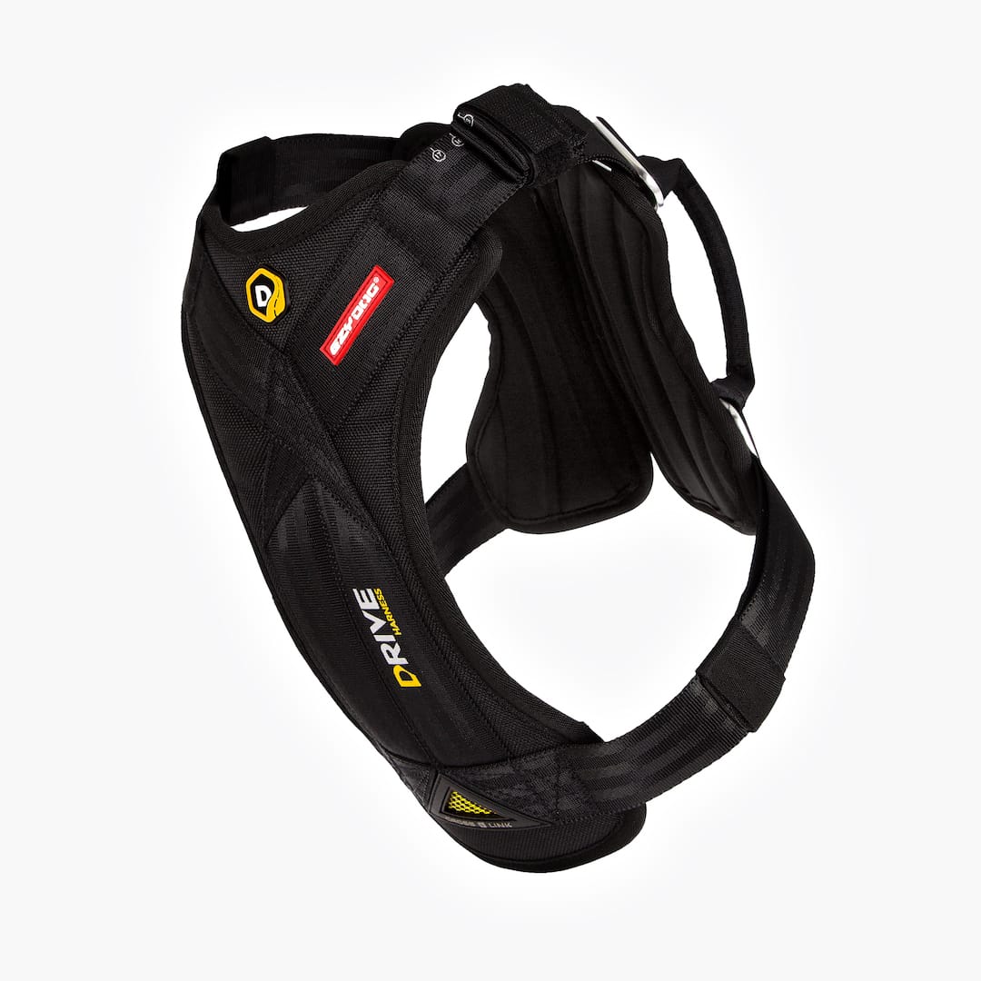 Black Dog car harness