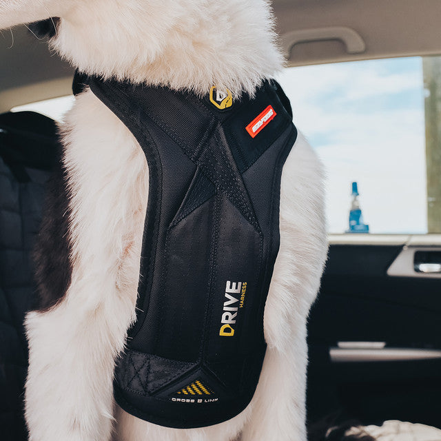 Drive™ Dog Car Harness