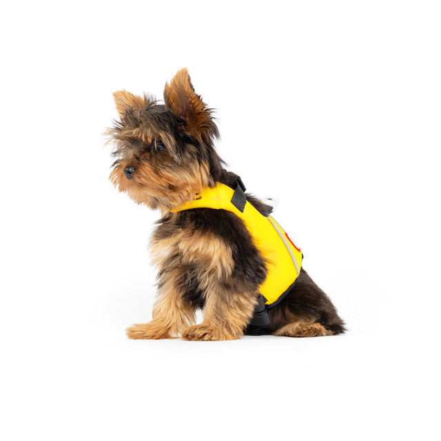 DFD™ X2 For Small Dogs