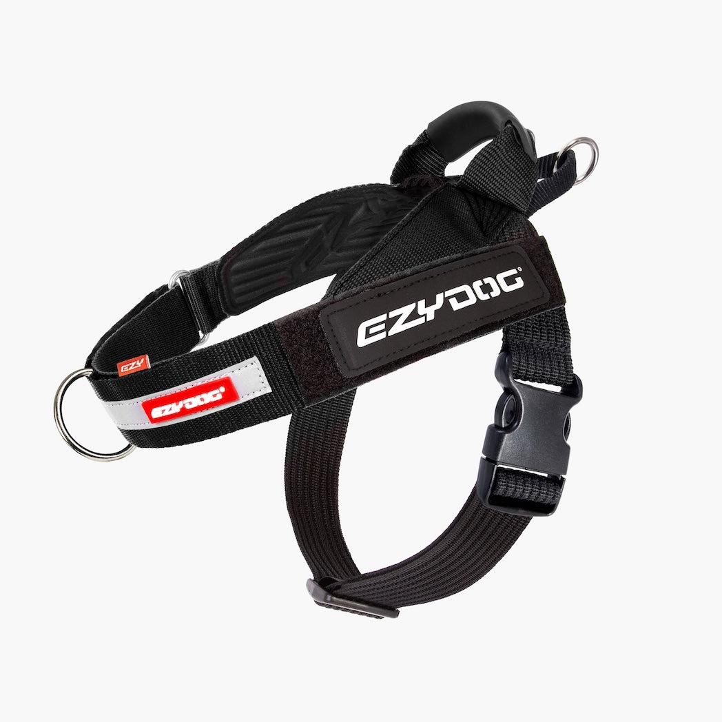 Black dog harness with EzyDog branding on a white background