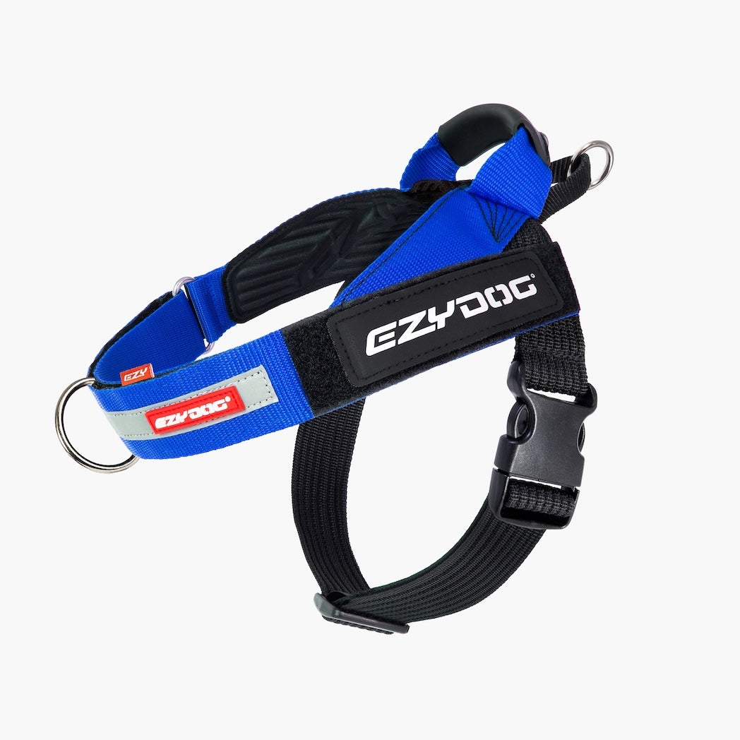 Blue and black dog harness with EzyDog branding on a white background