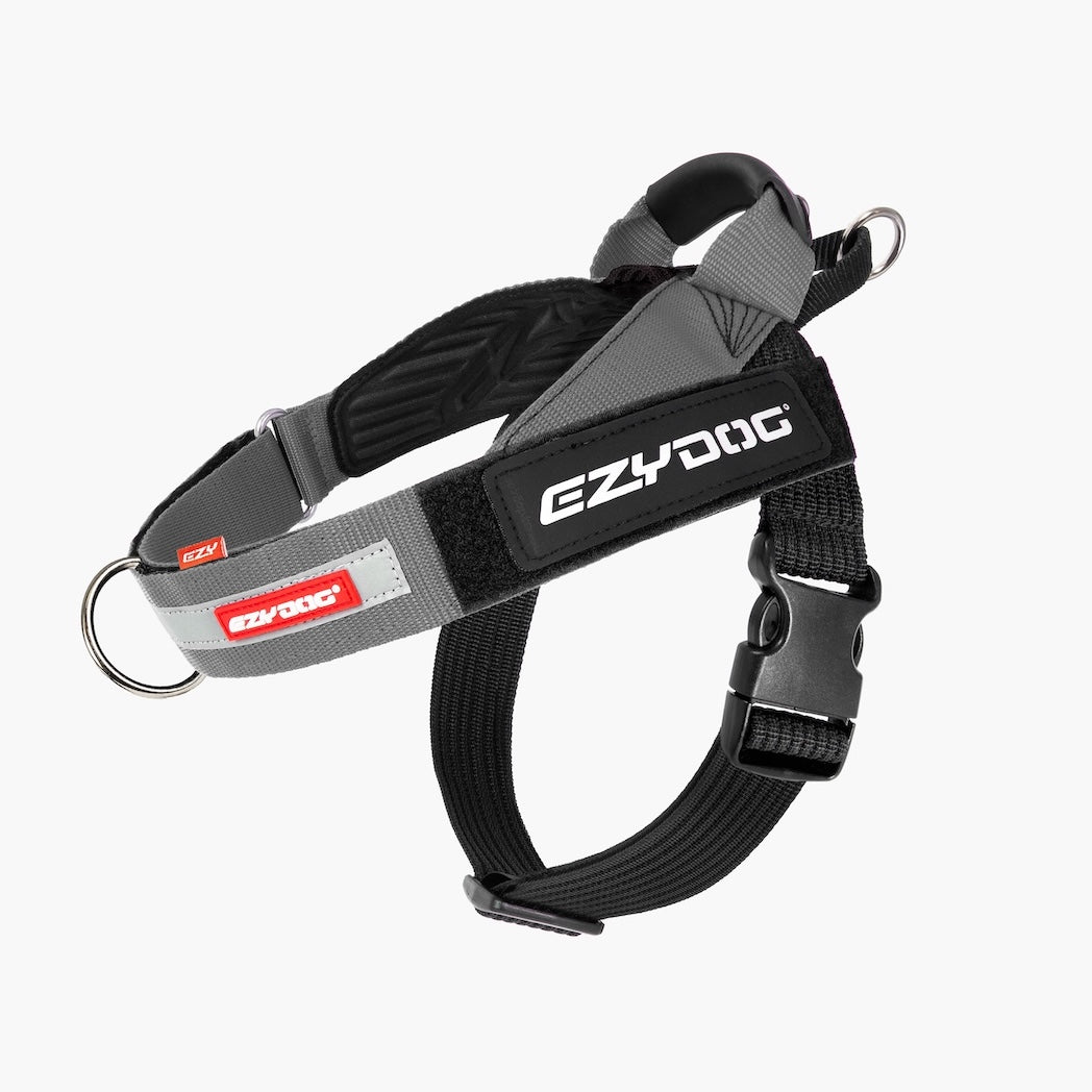 A black and gray Ezydog dog harness with a metal ring and quick-release plastic buckle, shown on a light gray background.