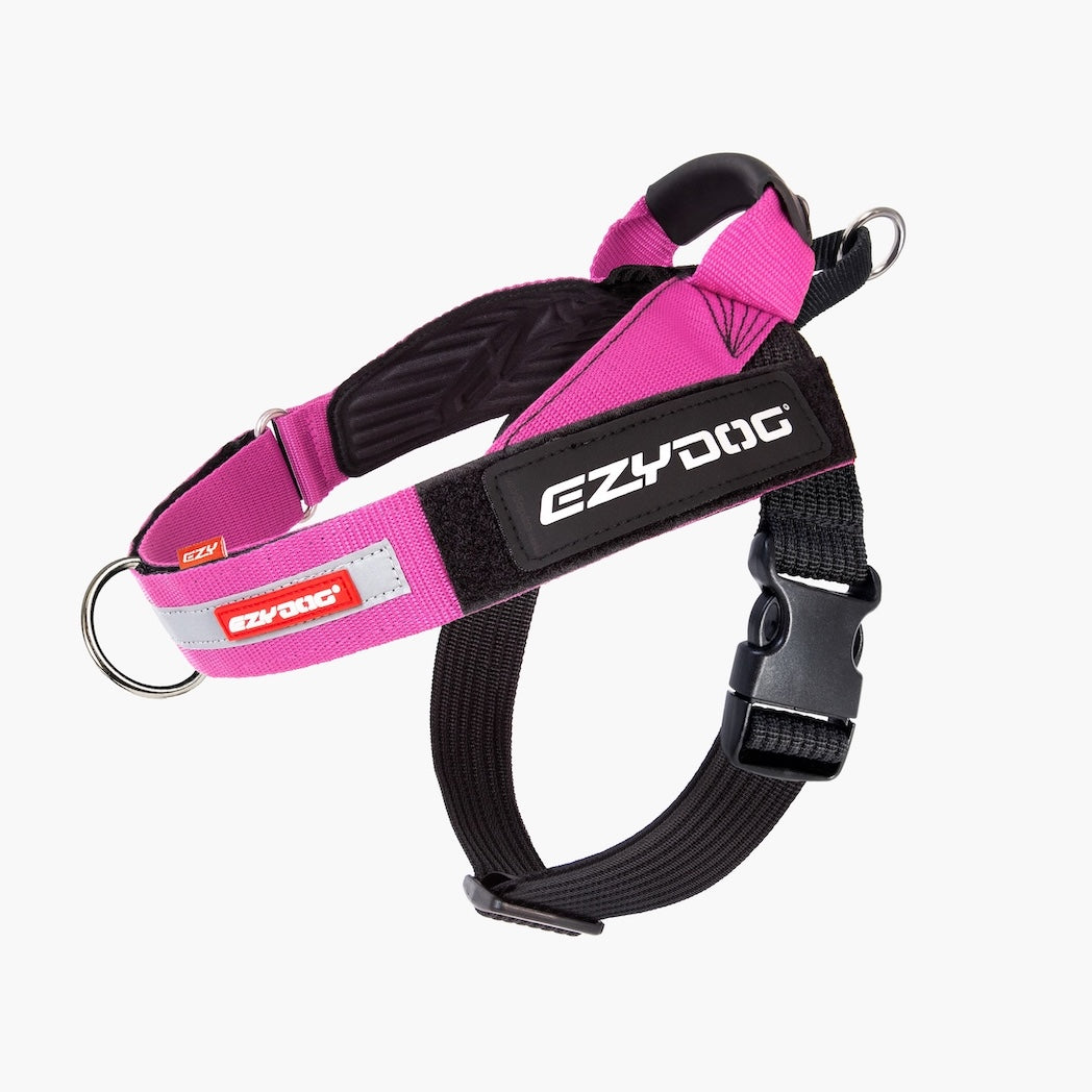 A pink and black dog harness with a black plastic buckle, metal D-ring, and a black central strap featuring the white 'EZYDOG' brand logo.