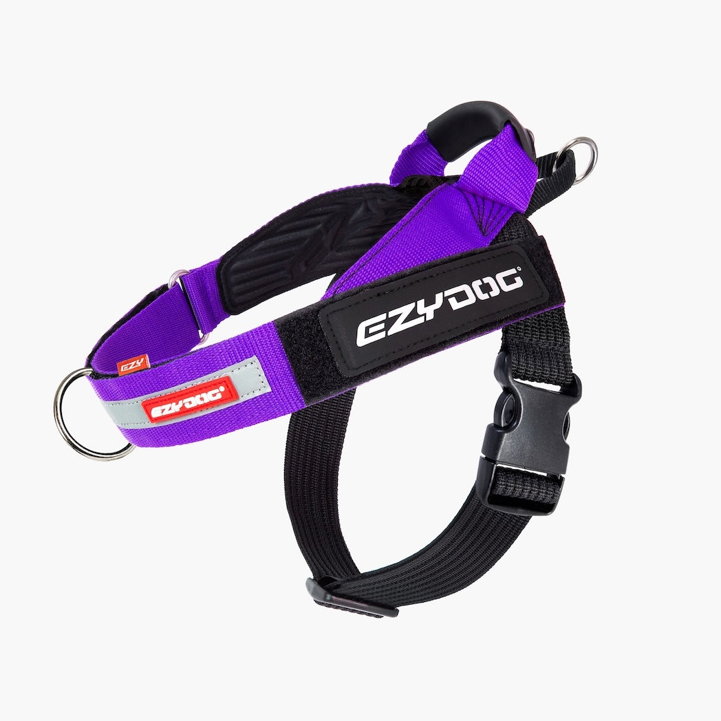 A purple and black dog harness with a black plastic buckle, silver metal D-ring, and a black strap featuring the white 'EZYDOG' brand logo.
