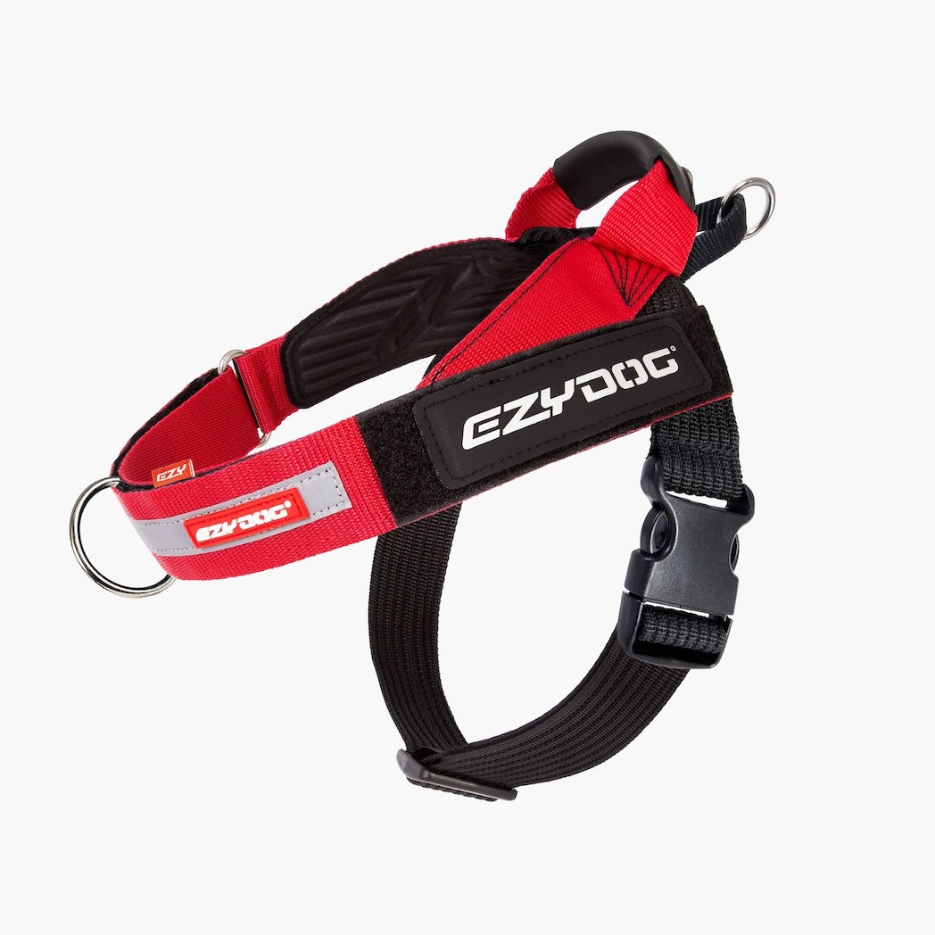 Red and black dog harness with a black plastic buckle, metal D-ring, and a black strap featuring the white 'EZYDOG' brand logo.