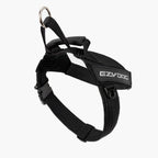Express™ Dog Harness