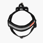 Express™ Dog Harness