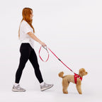 FORMFIT® Mesh Harness