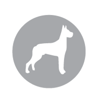 Designed for Larger Dogs