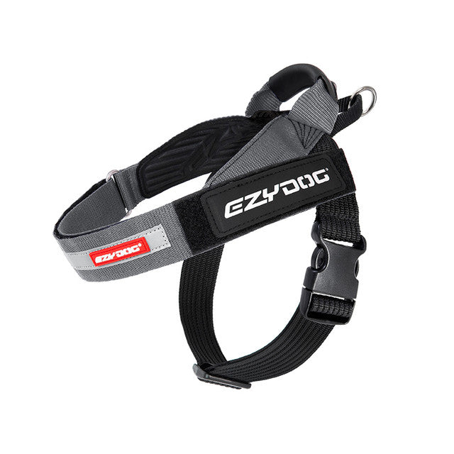 Express™ Dog Harness