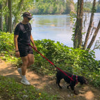 A man wearing a black t-shirt and shorts walks a black dog on a red leash along a dirt path next to a river with green trees and foliage.