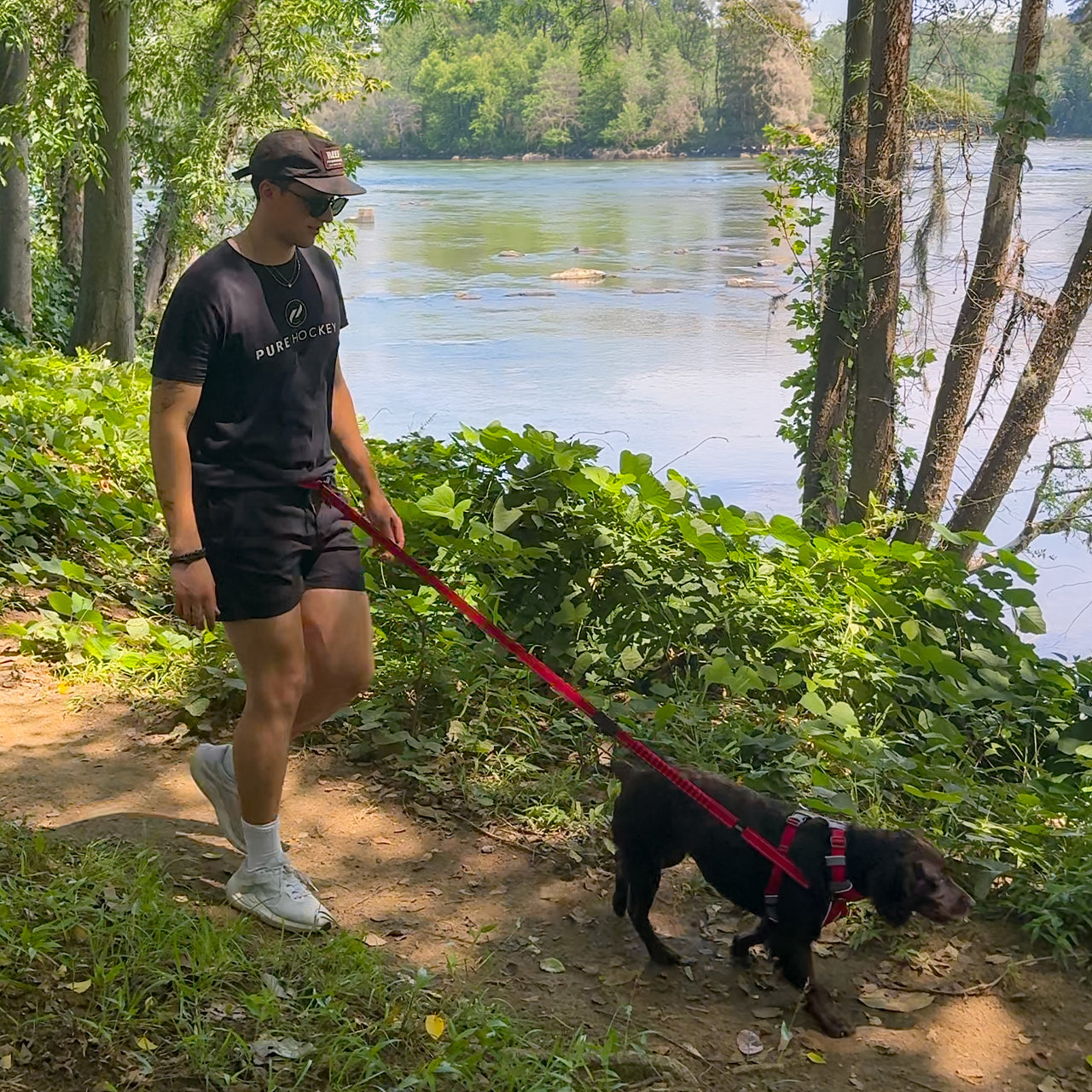 A man wearing a black t-shirt and shorts walks a black dog on a red leash along a dirt path next to a river with green trees and foliage.