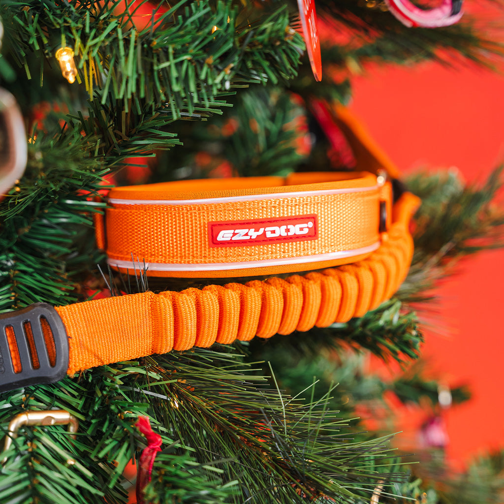 Orange dog leash with reflective strip and brand logo on a Christmas tree.
