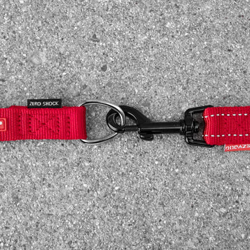 Bungee Dog Leash Extension Dog Leash Extender