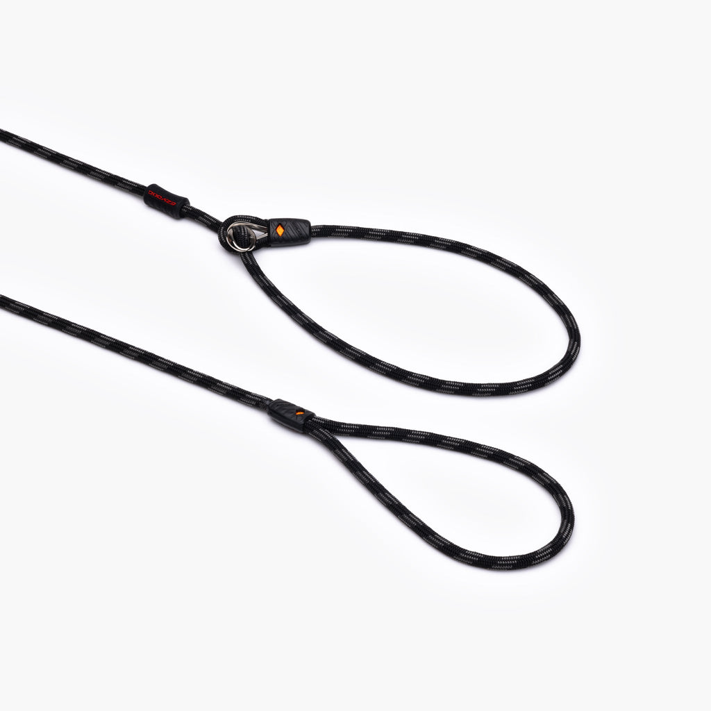 Luca™ Leash