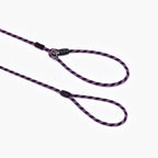 Luca™ Leash