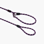 Luca™ Leash