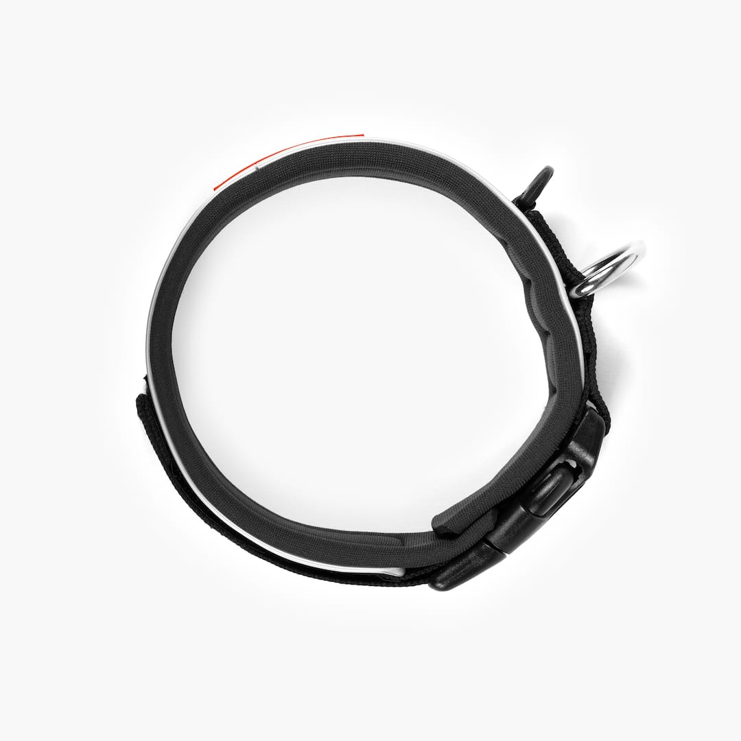 Black dog collar on a white background