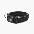 Black dog collar with metal buckle and ring on white background