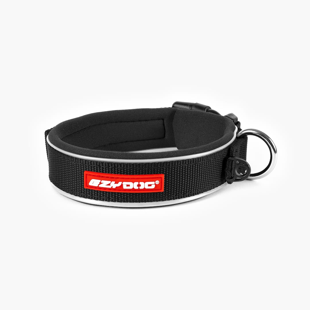 A black neoprene and nylon dog collar with a black plastic buckle and a label that reads 'EzyDog'.