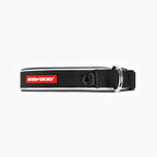 Black dog collar with red tag on white background