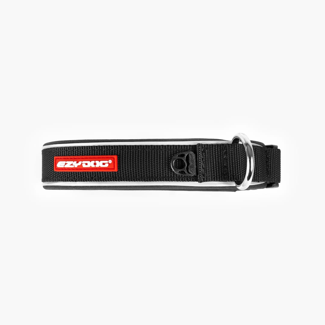 Black dog collar with red tag on white background