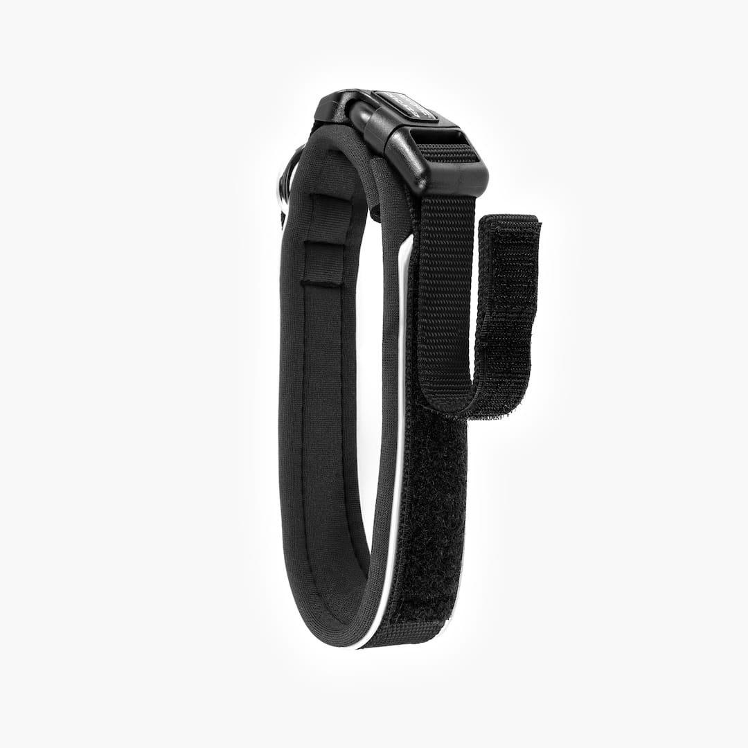 Black dog collar with metal clasp on white background