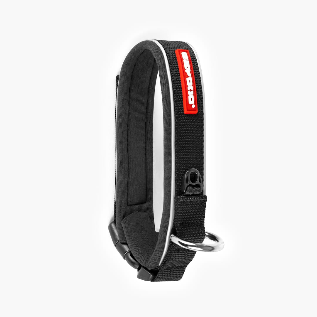 Black dog collar with red tag on a white background