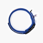 Blue dog collar with black buckle on a white background