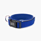 Blue dog collar with black buckle on a white background