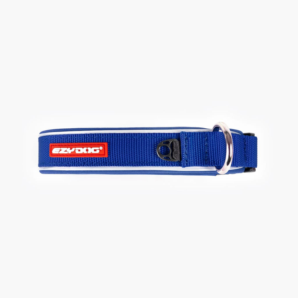 Blue and black dog collar on a white background