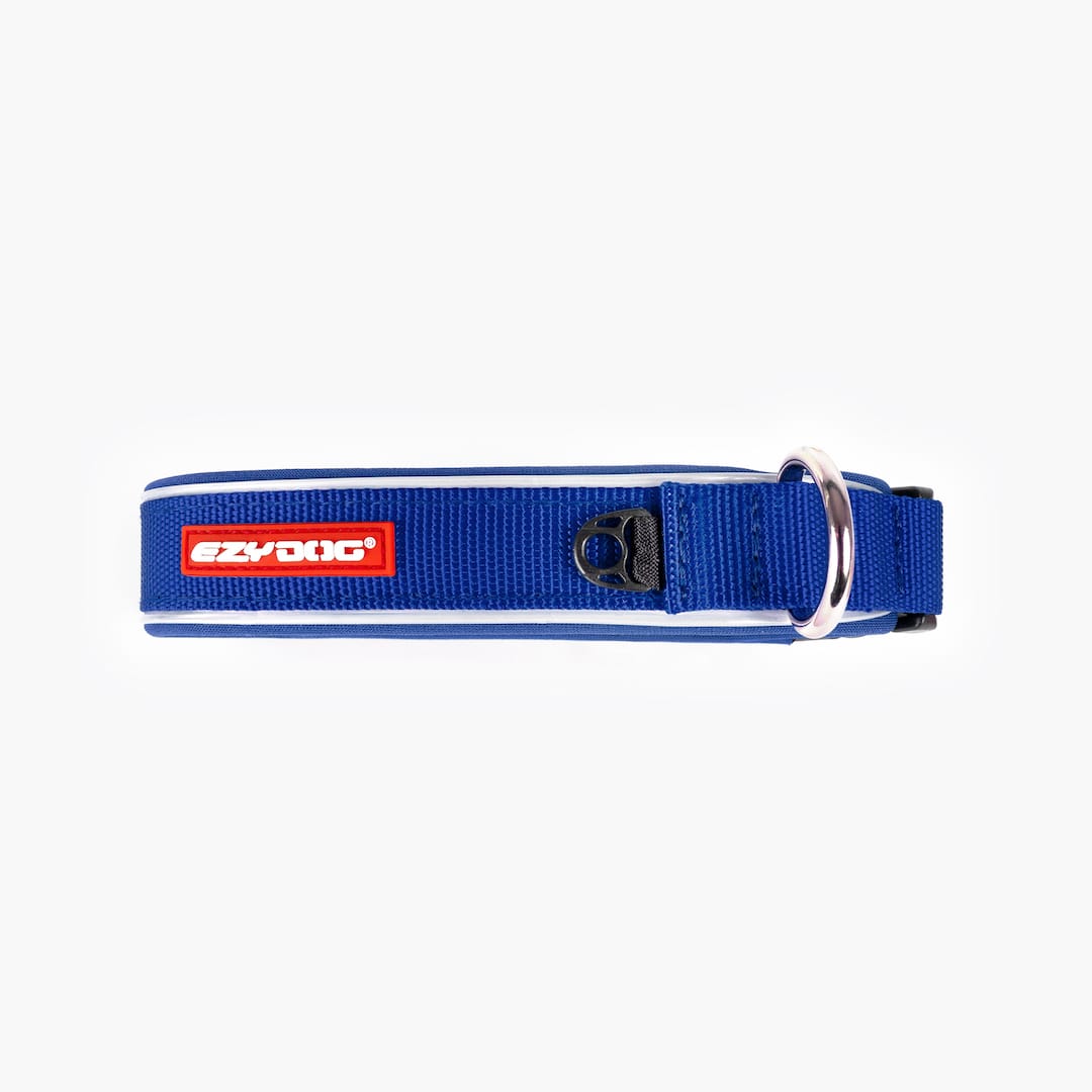 Blue and black dog collar on a white background
