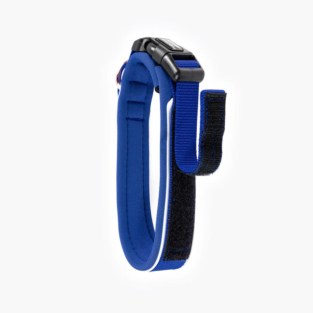 Blue and black dog collar on a white background