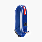 Blue dog collar with red tag on a white background