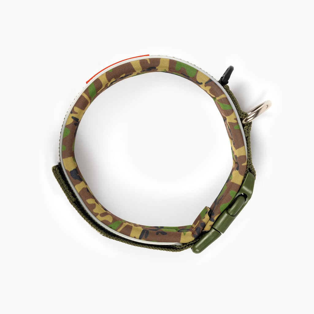 Camouflage-patterned dog collar on a white background