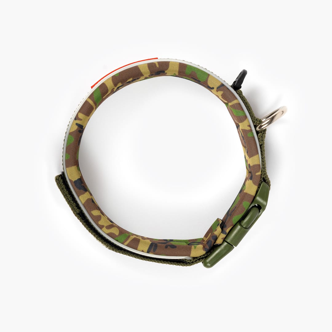 Camouflage-patterned dog collar on a white background