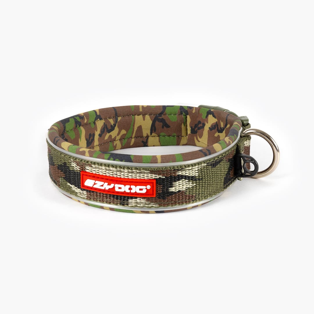 Camouflage patterned dog collar on a white background