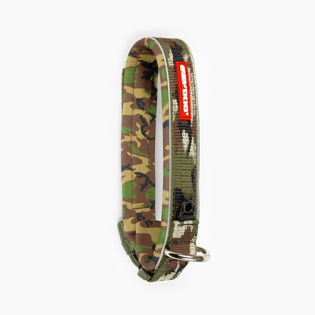 Camouflage patterned dog collar with red tag on white background