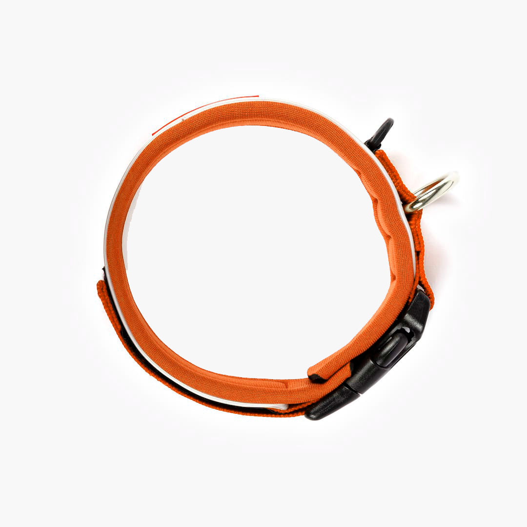 Orange dog collar with black clips on a white background
