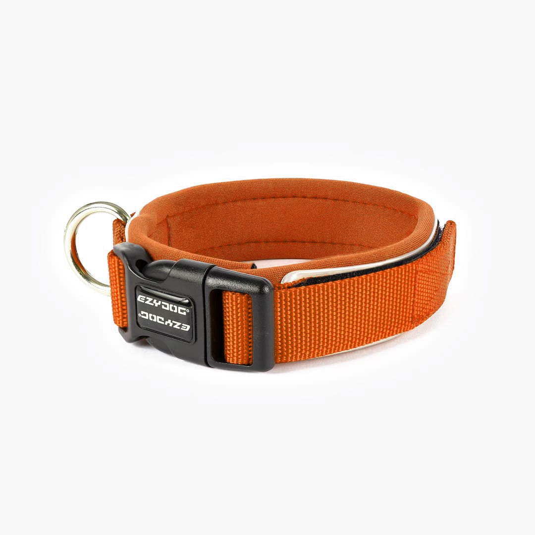 Orange dog collar with black buckle on a white background