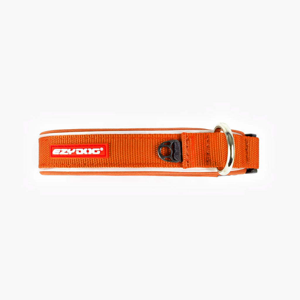 Orange dog collar with red tag on white background
