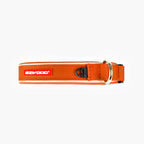Orange dog collar with red tag on white background