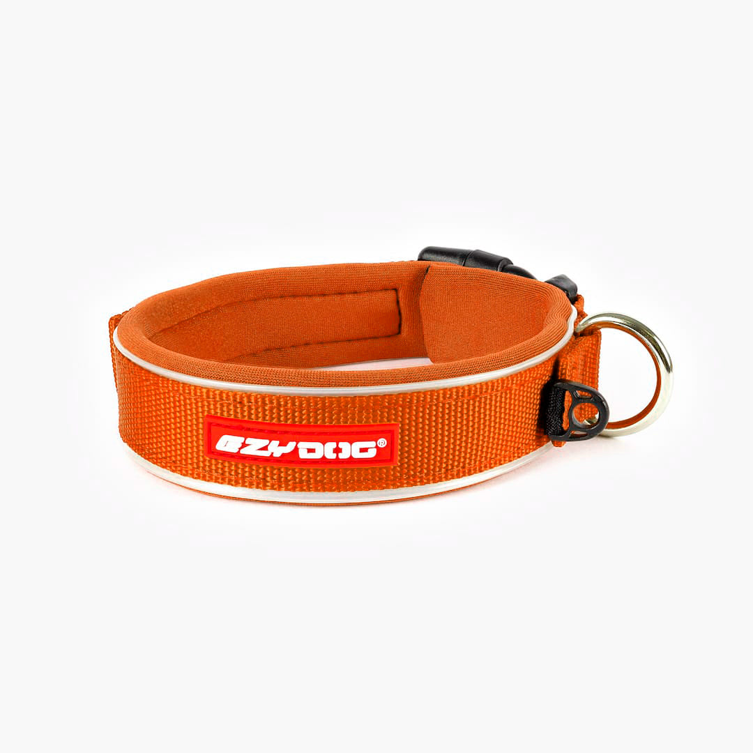 Orange neoprene and nylon dog collar with a black plastic buckle and a label that reads 'EzyDog'.