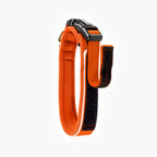 Orange and black dog collar on a white background