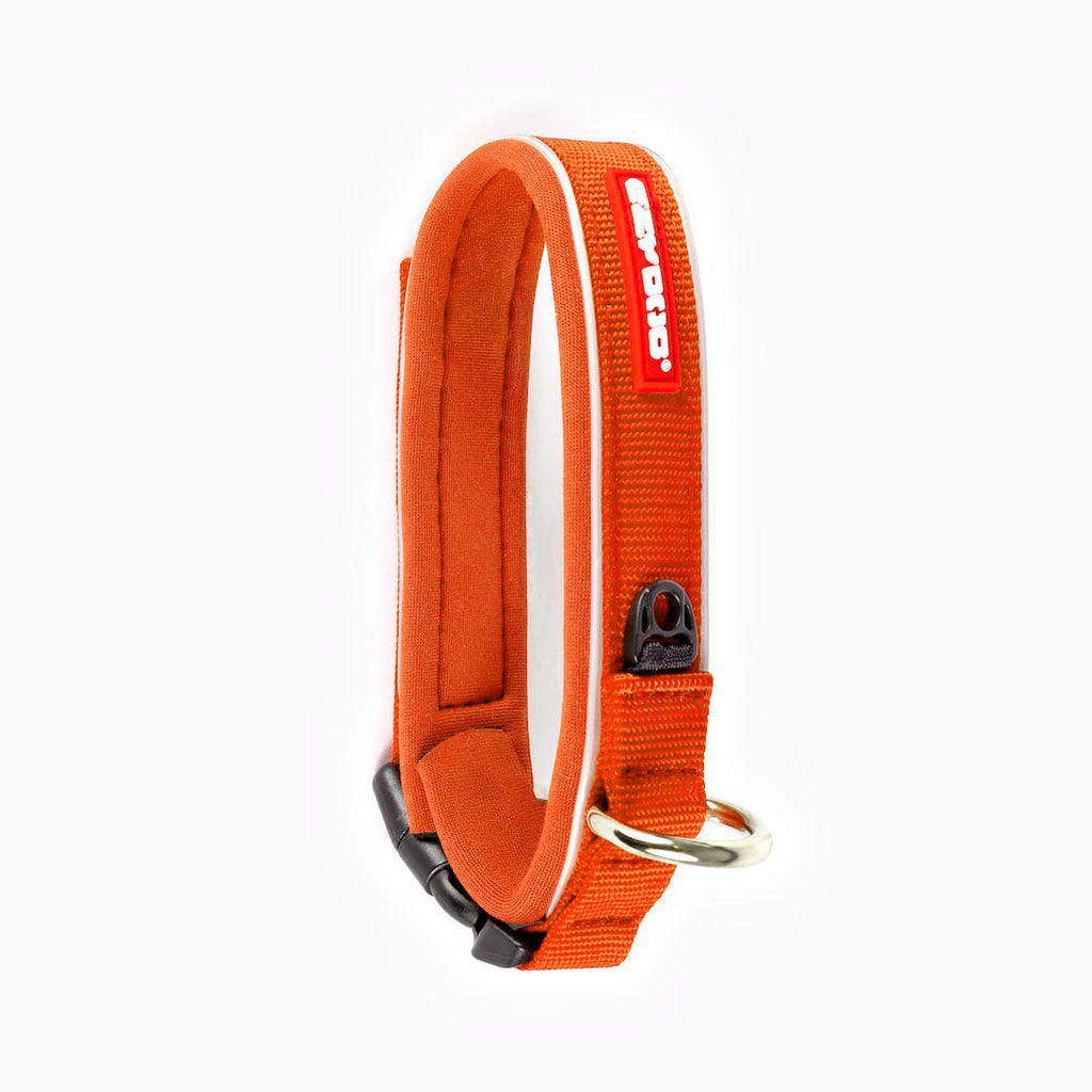 Orange dog collar with white stripe on a white background