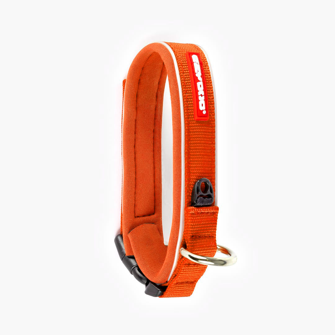 Orange dog collar with white stripe on a white background