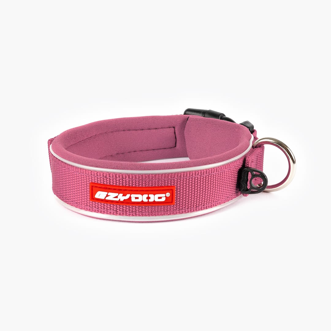 Neo™ Collar