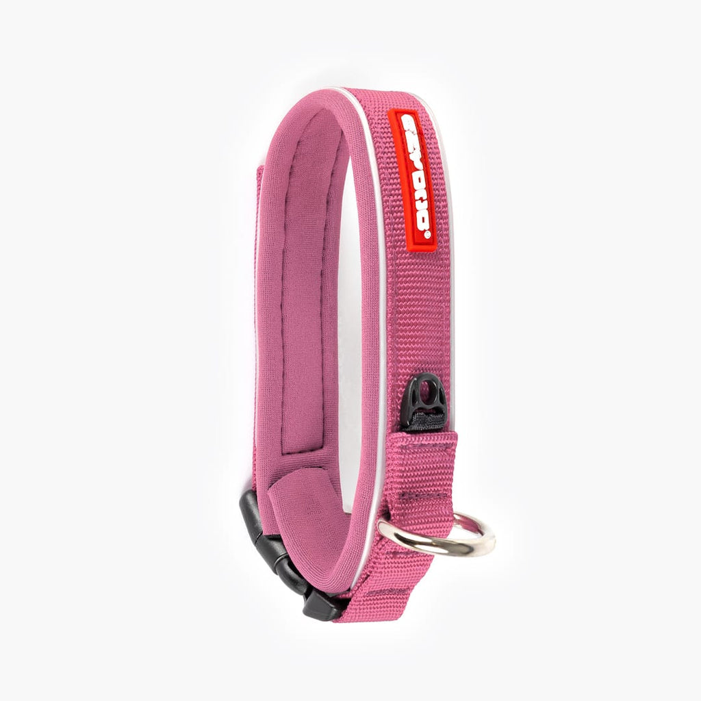 Pink dog collar with a red tag on a white background.